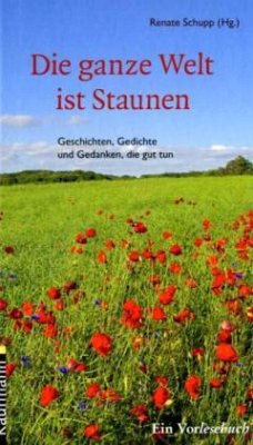 Cover Die ganze Welt ist Staunen