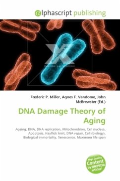 DNA Damage Theory of Aging