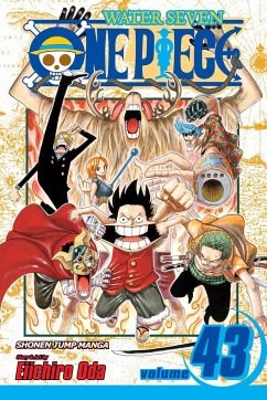 Cover One Piece, Vol. 43