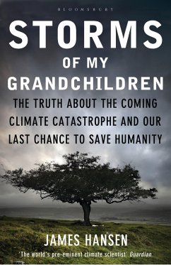 Storms of My Grandchildren - Hansen, James