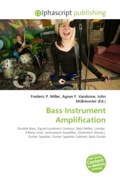 Bass Instrument Amplification