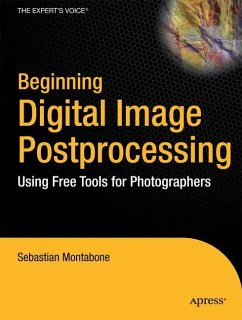 Beginning Digital Image Processing - Montabone, Sebastian