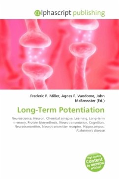 Long-Term Potentiation
