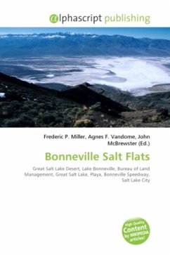 Bonneville Salt Flats