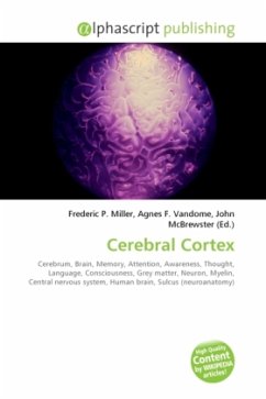 Cerebral Cortex