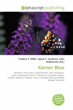 Karner Blue