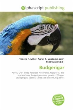 Budgerigar