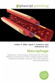 Macrophage