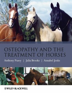 Osteopathy Treatment Horses - Pusey, Anthony; Brooks, Julia; Jenks, Annabel
