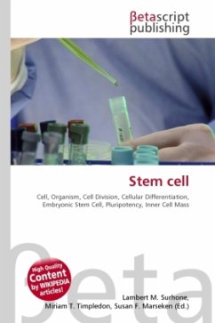 Stem cell