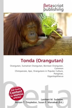 Tonda (Orangutan)