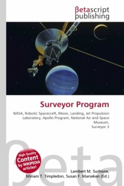 Surveyor Program