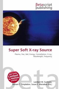 Super Soft X-ray Source
