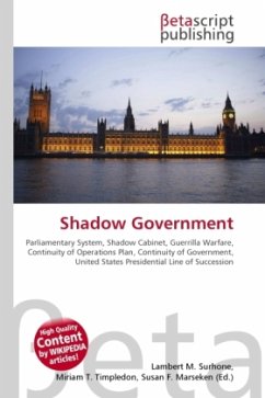 Shadow Government