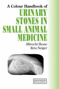 Urinary Stones in Small Animal Medicine - Hesse, Albrecht;Neiger, Reto