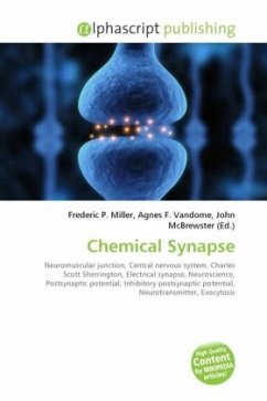 Chemical Synapse