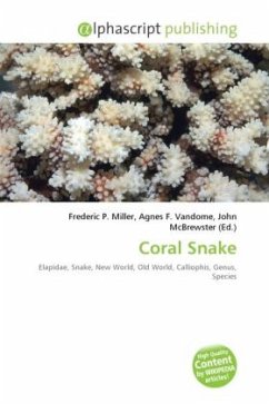 Coral Snake