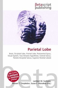 Parietal Lobe