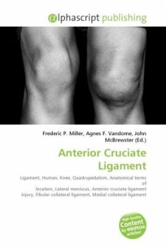 Anterior Cruciate Ligament