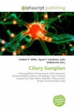 Ciliary Ganglion