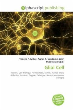 Glial Cell