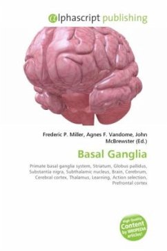 Basal Ganglia