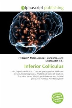 Inferior Colliculus