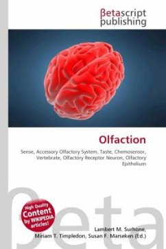 Olfaction