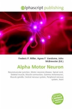 Alpha Motor Neuron