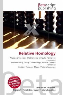 Relative Homology