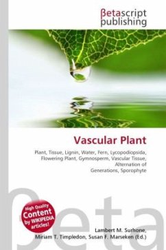 Vascular Plant