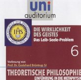 Theoretische Philosophie - Eine Einführung, Teil 6 / Theoretische Philosophie, Audio-CDs Tl.6