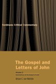 The Gospel and Letters of John, Volume 2