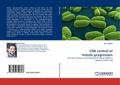 CDK control of mitotic progression