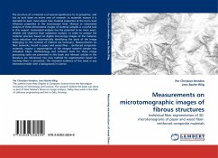 Measurements on microtomographic images of fibrous structures - Henden, Per Christian