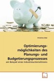 Optimierungs- möglichkeiten des Planungs- und Budgetierungsprozesses