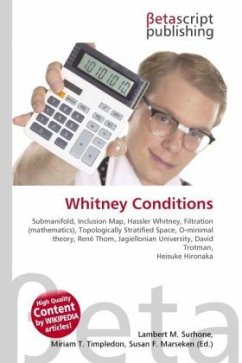 Whitney Conditions