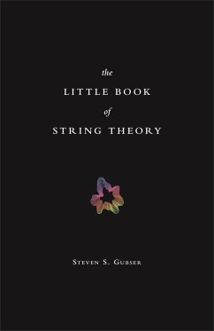 The Little Book of String Theory - Gubser, Steven S.