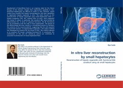 In vitro liver reconstruction by small hepatocytes - Sudo, Ryo