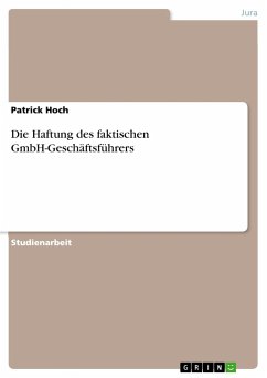 Die Haftung des faktischen GmbH-Geschäftsführers - Hoch, Patrick