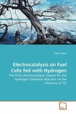 Electrocatalysis on Fuel Cells fed with Hydrogen