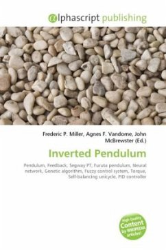 Inverted Pendulum