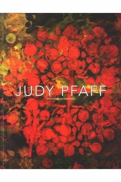 Judy Pfaff - Samuel Dorsky Museum of Art