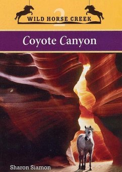 Coyote Canyon - Siamon, Sharon