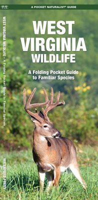 West Virginia Wildlife - Kavanagh, James; Waterford Press