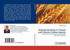 Haploidy Breeding in Triticale and Triticale X Wheat Hybrids
