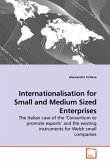 Internationalisation for Small and Medium Sized Enterprises