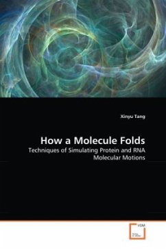 Cover How a Molecule Folds