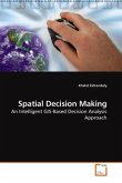 Spatial Decision Making