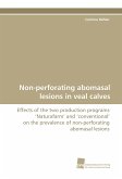 Non-perforating abomasal lesions in veal calves